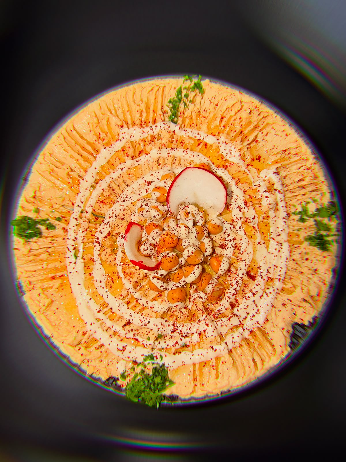 Falafel Plate